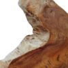 Lampada Da Muro Tree Su Tronco Di Legno Naturale 90X76