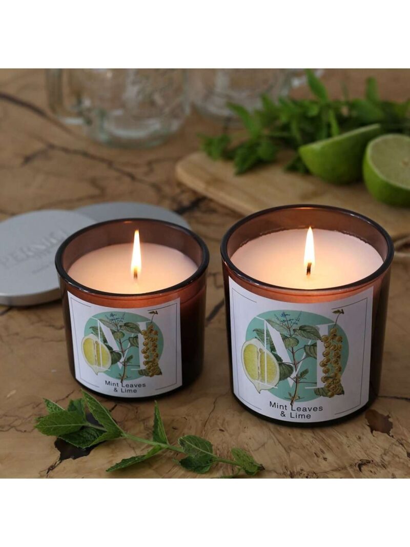 102.0066- Mint Leavese Lime Candela Profumata In Bicchiere 200Gr