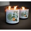 Bergamot E Orange Blossom Candela Profumata In Bicchiere