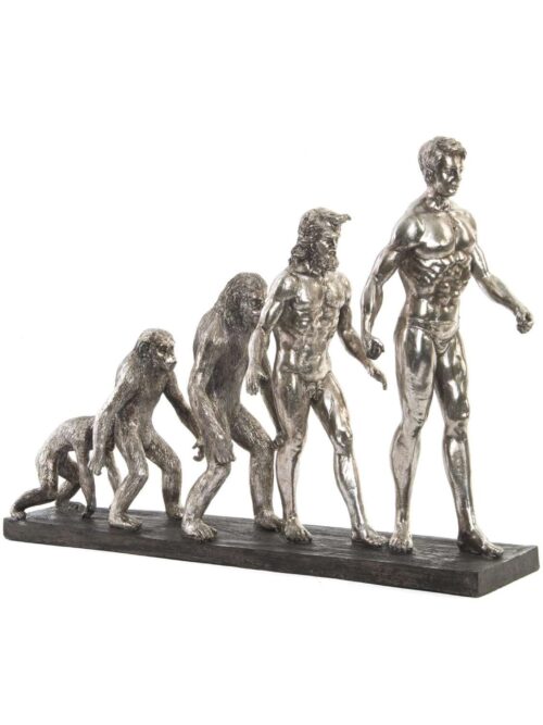Decorazione in Resina Cromato Platino EVOLUZIONE dell'UOMO