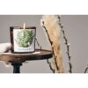 Rosemary E Mint Candela Profumata In Bicchiere 200Gr