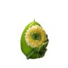 Candela A Forma Di Uovo Medio Con Gerbera H15 Cm