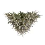Albero di Natale con Neve Artificiale e Luci a Soffitto LED