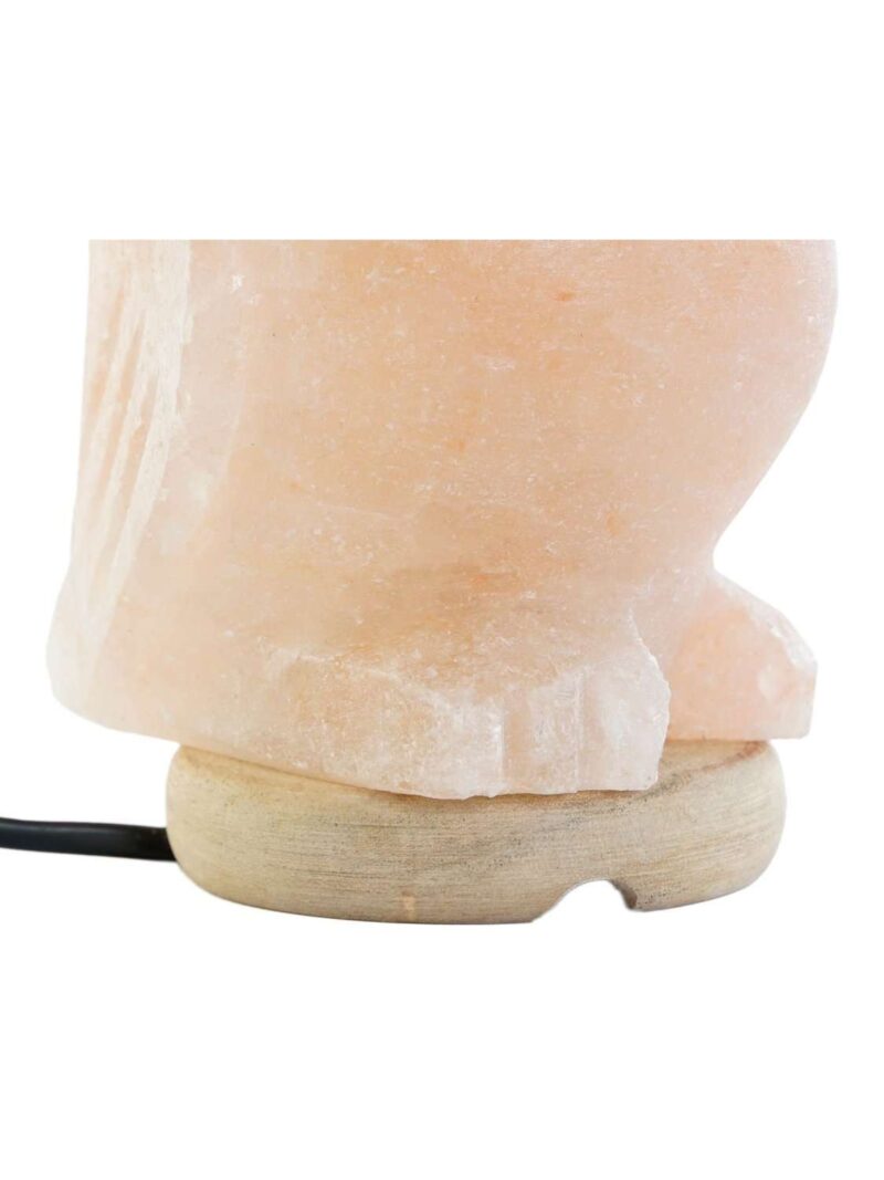 Lampada Da Tavolo Gufo In Sale Dell'Himalaya