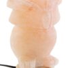 Lampada Da Tavolo Gufo In Sale Dell'Himalaya