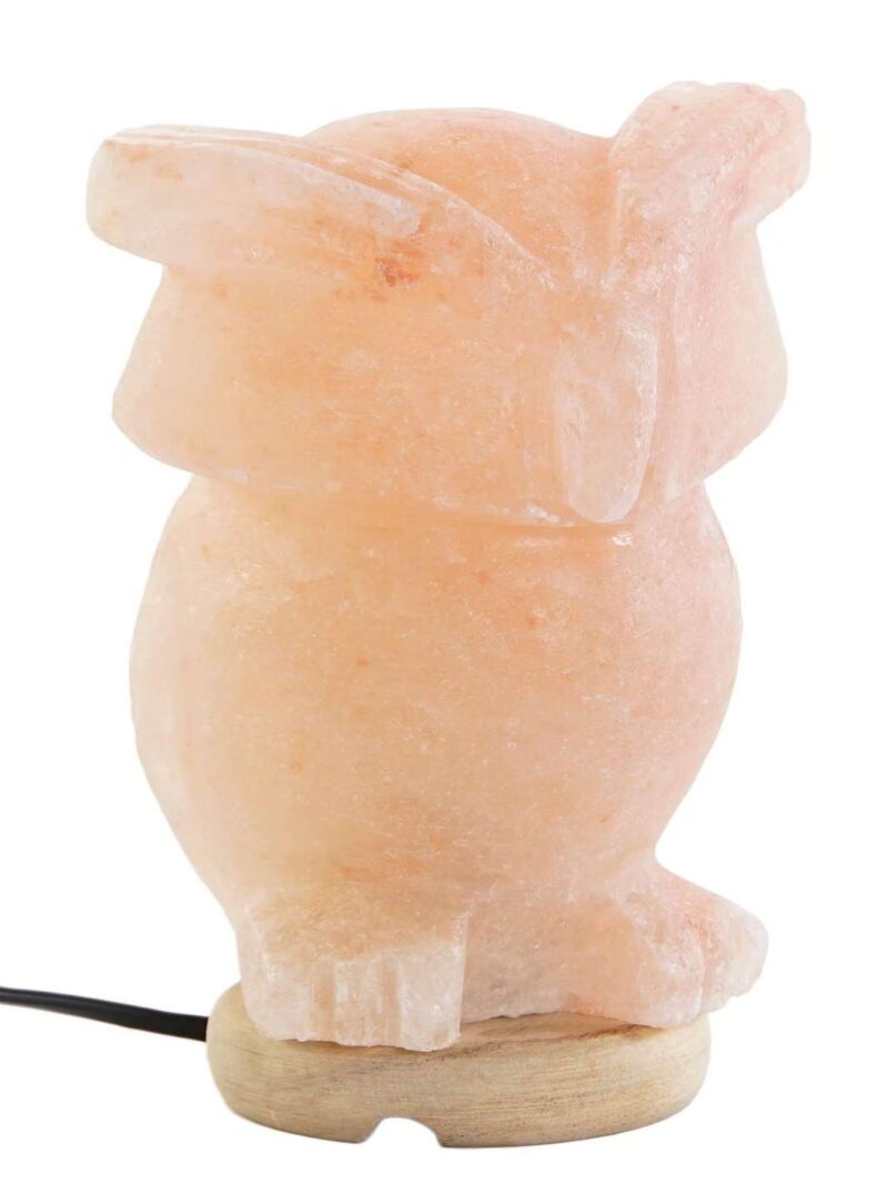 Lampada Da Tavolo Gufo In Sale Dell'Himalaya