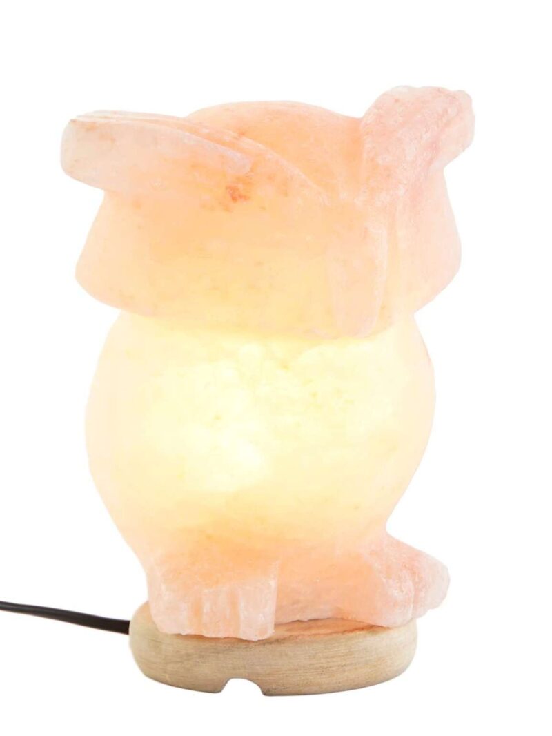 Lampada Da Tavolo Gufo In Sale Dell'Himalaya