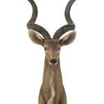 Testa Antilope Resina Marrone