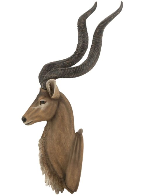 Testa Antilope Resina Marrone