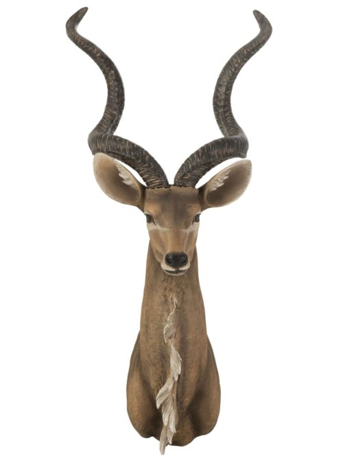 Testa Antilope Resina Marrone