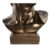 Busto Di David In Resina Ramato