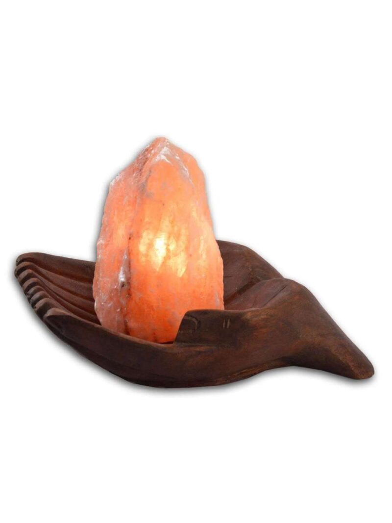 Lampada Di Sale Mani Unite Grande
