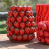 Vaso In Gres Porcellanato Con Motivo Di Fragole Rosso