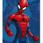 Coperta Spiderman in Pile 100x140 cm