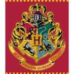 Coperta Harry Potter in Peluche 120x150 cm