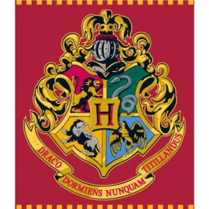 Coperta Harry Potter in Peluche 120x150 cm