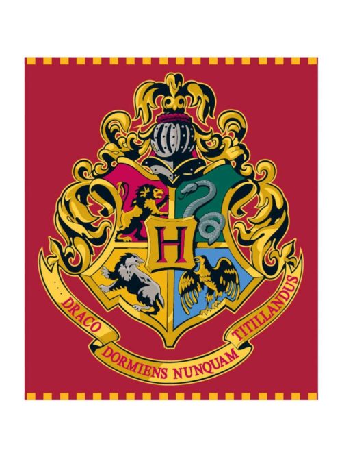 Coperta Harry Potter in Peluche 120x150 cm