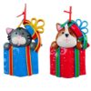 Cane Gatto su Scatola Regalo Ornamento per Albero