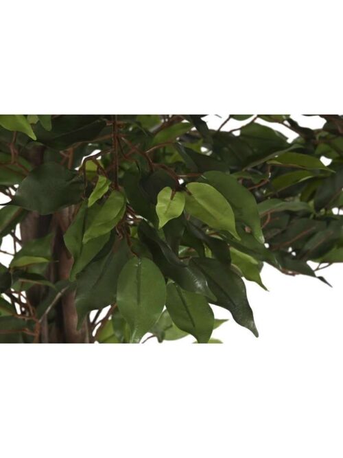Albero Ficus Verde Con Vaso Nero - H 180 Cm