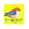 Dipinto Birdy Giallo Fluo 30X30