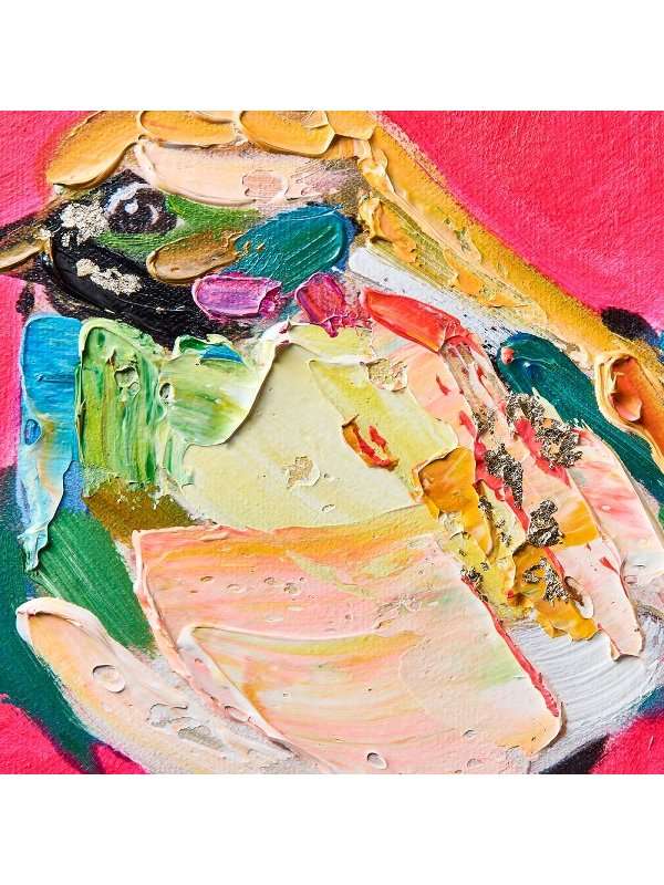 Dipinto Birdy Rosa 30X30