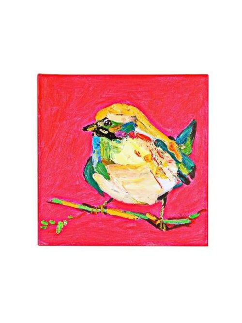 Dipinto Birdy Rosa 30x30