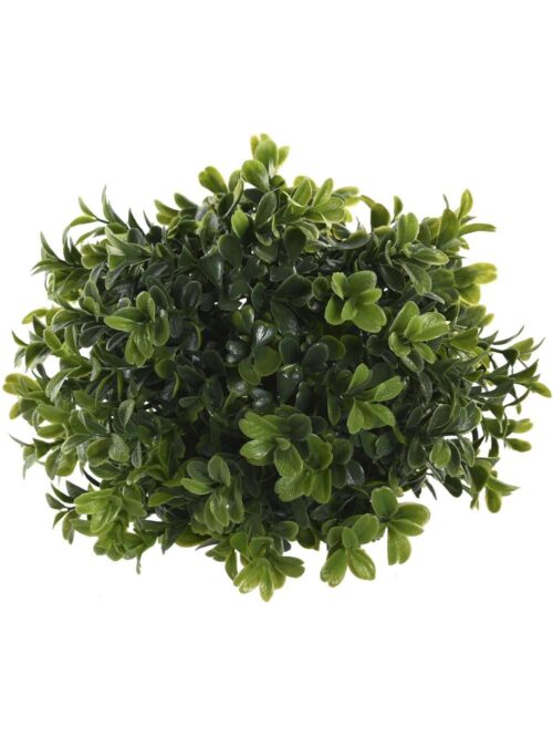 Decorazione Giardino Verticale Verde 50x50x5 cm
