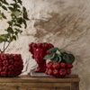 Vaso Gazpacho Lady Rosso H29 Ceramica Impermeabile
