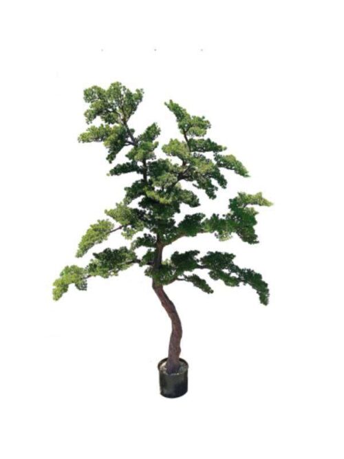 Pianta Bonsai Artificiale Diametro 25 Cm X Altezza 230 Cm