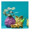 Gnomo Disteso Dorato Golden Relax Verde
