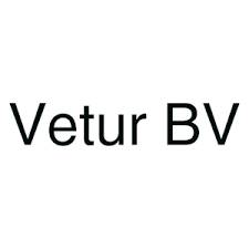 vetur_logo